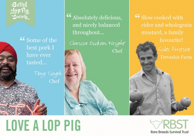 Love a Lop pig, love a great deal!