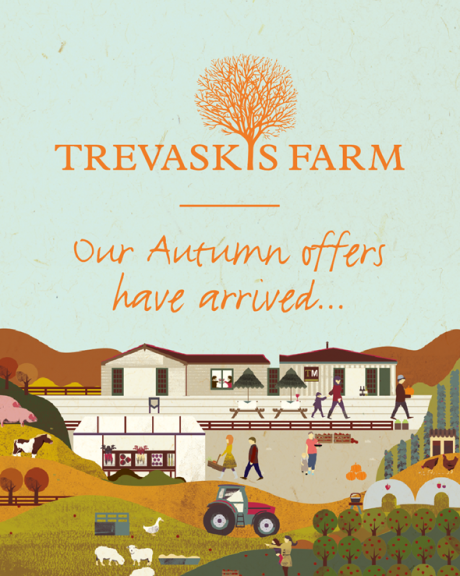 Our autumn offers have arrived!